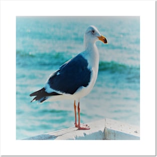 Solitary SeaGull looking into the Blue Pacific Ocean Coast Posters and Art